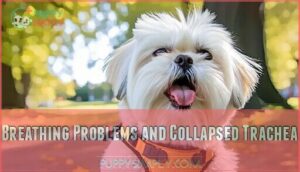 breathing problems and collapsed trachea