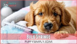 bulb syringe
