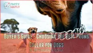 buyer's guide - choosing the best prong collar for dogs