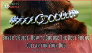 buyer's guide: how to choose the best prong collar for your dog