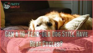 can a 10-year-old dog still have heat cycles