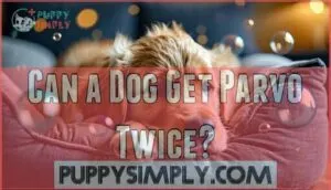can a dog get parvo twice