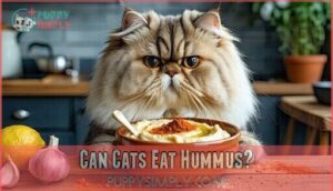 can cats eat hummus