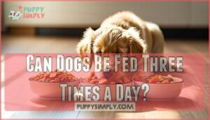 can dogs be fed three times a day
