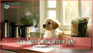 can dogs drink warm tea