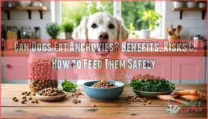 can dogs eat anchovy