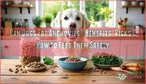can dogs eat anchovy