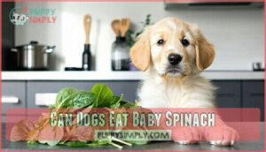 can dogs eat baby spinach