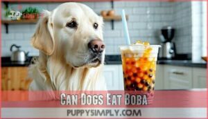 can dogs eat boba