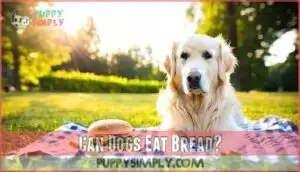 can dogs eat bread