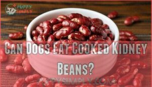can dogs eat cooked kidney beans