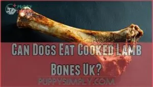 can dogs eat cooked lamb bones uk