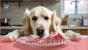 can dogs eat corned beef