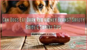can dogs eat dark red kidney beans