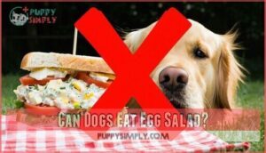 can dogs eat egg salad