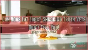 can dogs eat eggs