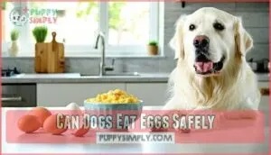 can dogs eat eggs safely can dogs eat eggs safely
