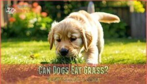can dogs eat grass
