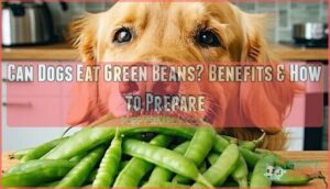 can dogs eat green beans raw