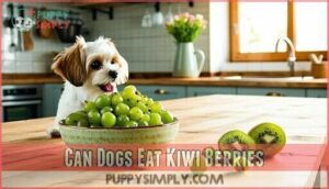 can dogs eat kiwi berries