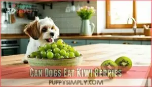 can dogs eat kiwi berries