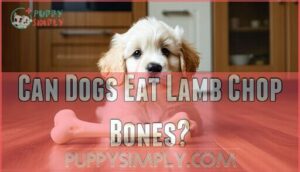 can dogs eat lamb chop bones