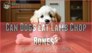 can dogs eat lamb chop bones can dogs eat lamb chop bones
