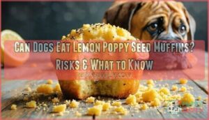can dogs eat lemon poppy seed muffins