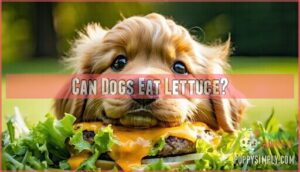 can dogs eat lettuce