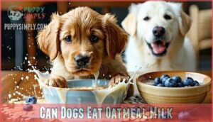 can dogs eat oatmeal milk