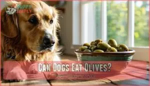 can dogs eat olives