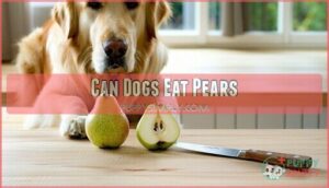 can dogs eat pears