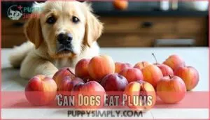 can dogs eat plums
