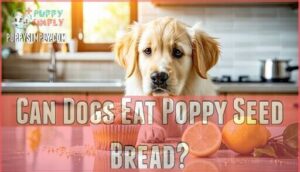 can dogs eat poppy seed bread