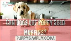 can dogs eat poppy seed muffins