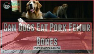 can dogs eat pork femur bones