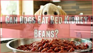 can dogs eat red kidney beans