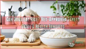 can dogs eat rice