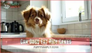 can dogs eat rice cakes