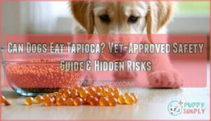 can dogs eat tapioca