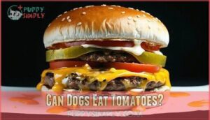 can dogs eat tomatoes