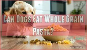 can dogs eat whole grain pasta