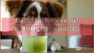 can dogs have peppermint tea