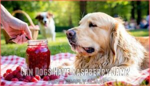 can dogs have raspberry jam