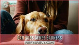 can dogs sense sadness
