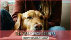 can dogs sense sadness