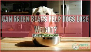 can green beans help dogs lose weight