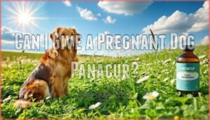 can i give a pregnant dog panacur