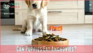 can puppies eat anchovies