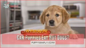 can puppies eat hot dogs